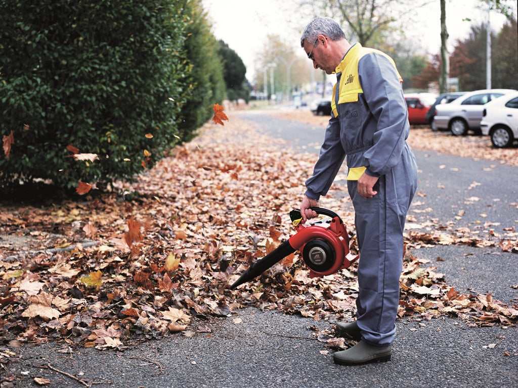 Honda HHB 25 E Petrol Blower