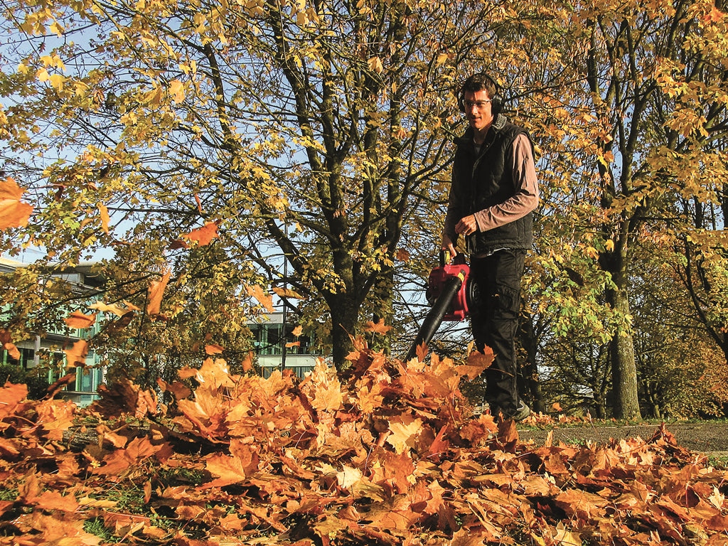 Honda HHB 25 E Petrol Blower